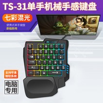 게임전용 게이밍 키보드 롤 배그 오버워치 한손 마우스 간섭X, 기계식 키보드 블랙