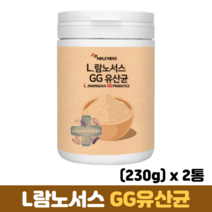 LGG 유산균 분말 프락토올리고당 비타민C 장건강 프로바이오틱스 프리바이오틱스, 2통, 230g