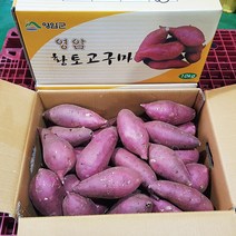 고구마영암명품 황종복 연지 꿀고구마 5/10kg 품질엄선, 영암명품 꿀고구마5kg(특상품)
