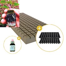 삽목용 오아시스162구+50구트레이 2장+발근력20ml+이름표사은품, 3셋트