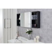 닥터바스 화장실슬라이드장 슬라이드장 욕실거울 슬라이딩장 욕실수납장, 2-1번 블랙 600 슬라이드장 1200