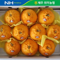 제주 위미농협 한라봉 3kg(7-12과), 단품