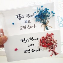 지나로즈 명절선물 opp 용돈비닐 머니홀더 돈비닐, 프리저브드 용돈봉투