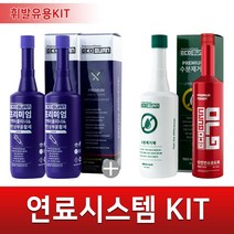 에코번 연료시스템 관리키트 휘발유용(인젝터클리너2병+수분제거제1병+에코번G70 1병)