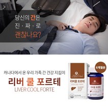 간수치 높을때 업무 피로할때 회식 음주 잦을때 술병났을때 간 건강 해독 관리 유지 개선 에 좋은 영양제 liver care vitamin, 4BOX(8개월분)