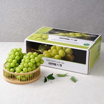 고당도 프리미엄 샤인머스켓 선물세트 선물용 추석 설, 1kg (1~2수 특품 / 보자기포장 추가)