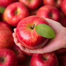 국내산 사과 프리미엄 사과선물세트 아리수 홍로 사과 5kg, 국내산 자연의 감동 사과, 5kg(15-16과)
