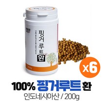 핑거루트 100% 핑거루트환 판두라핀 핑거루트뿌리 인도네시아산 Fingger Root Pillet, 200g x 6통