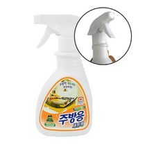 주방용 세정제 300ML 기름때제거 주방세제, 1개