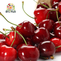 [항공직수입]칠레 싱싱체리 1.2kg(10row)