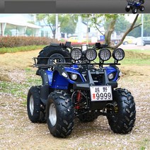 디와이 ATV 125cc 사륜 오토바이크 사바리, 그린, 세트 1