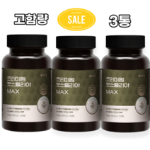 관절 연골 보스웰리아 보스웰릭산 고순도 효능 관절엔 1000mg 3통, 1000mg x 120정