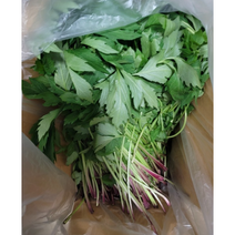 국산 전남 구례 국화나물 1kg 유기농꽃나물 삼잎국화나물 키다리나물 꽃나물 꽃 삼잎 국화 나물 식용꽃, 1개