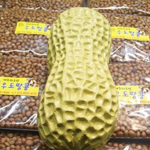 제주하르방 우도땅콩 1kg 배송당일 볶아 배송해드립니다. 제주 동문시장에서 보내드립니다 오후 2시까지 주문시 당일발송 합니다.단 금요일 14시~일요일14시까지 주문분 일요일발송, 1팩