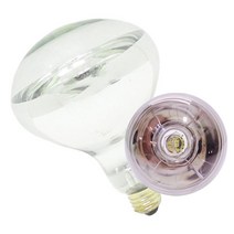 남영 신광 적외선 열전구 185W 250W 보온전구 적외선 발열 히터 난방 축사 축산 양계장 사육등 원적외선, 신광 적외선 전구 185W