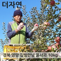 경북 영양 꿀부사 사과 가정용 5kg 20-21과, 1개