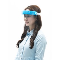 에이원씨에프 국산 페이스쉴드 비말차단 안면보호구, 10개
