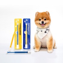 댕댕이 360도 실리콘칫솔 애견칫솔 강아지칫솔 1개입, 1개, 블루