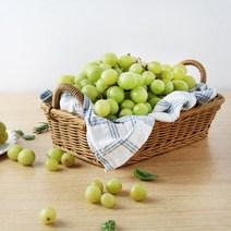 진성비엔씨(FRESH) [맛딜]아삭한 고당도 껍질째 먹는 애플청포도4kg, 단품없음