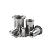 팝너트건 팜너트 100150pcs 스테인레스 스틸 리벳 너트 키트 m3 m4 m5 m6 m8 또는 1pcs 리벳 너트 건 맨드릴 수리 도구, m3 100개