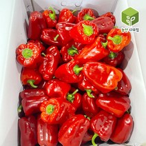 국내산 빨간피망 홍피망 상 10kg, 단품
