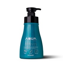 히솝 아쿠아 스칼프 클리닉 샴푸 대용량샴푸 1000ml, 스칼프샴푸 1000ml