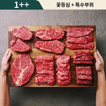 정직한우실장 1++등급 한우 구이용 모듬한판, 800g, 1개