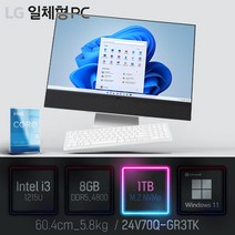 LG 일체형PC(12세대) 24V70Q-GR3TK [이벤트 한컴오피스 증정], 램8GB + SSD1TB