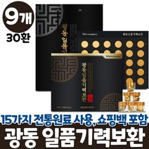 광동 기력보환 녹용 홍삼 15가지 전통원료 1일 1환 일품기력보환 30환, 9개
