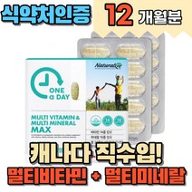 식약처인증 멀티비타민 멀티미네랄 올인원 종합영양제 활력 에너지 충전 성인 남녀 여자 여성 중년 부모님 20대 30대 40대 종합비타민, 4개(총12개월분)