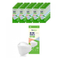 휴그린 황사마스크 중형 KF80, 100개입, 1개, 흰색