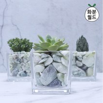 OZM390634옥자갈 (대포장) 정원자갈 주차장자갈 화분돌 어항돌, 옥자갈3호(대포장)