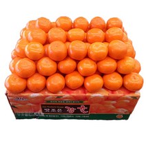 자체브랜드 타이팩 비가림 감귤 5kg, 밀감 S크기