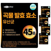 자연속 하루 효소 곡물 발효 효소 유산균 45종, 90g, 5개