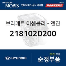 아반떼XD/투스카니 엔진미미(엔진 마운팅 브라켓) (218102D200)
