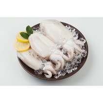 흑산도 자연산 손질 갑오징어 4미 1kg 내외 냉동 갑오징어회 진공포장