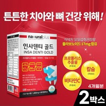 치아 잇몸 영양제 인사 덴티 골드 60정 칼슘 프로폴리스 비타민C 옥수수수염 추출분말 리소짐 부모님 어르신 노인 치아 뼈 건강, 2박스(4개월분)