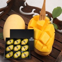 항공 직수입 맛있는 태국 남덕마이 골드망고, 태국망고 선물세트 9과