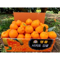 [황금농원]서귀포 비가림 하우스 감귤 출하 5kg 10kg, 1box, 5kg중대과(L-2L)