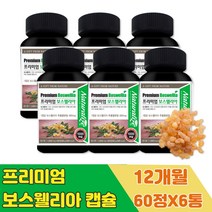 대용량 홈쇼핑 보스웰리아 덩어리 정 70대 건강 식품 BOSWELLIA 캡슐 추출물 원물 환 홍합 파랑 녹색 해조칼슘 아연 상어연골 SHARK 유향 유항 나무 보스벨리아