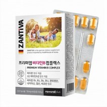 ZANTIVA 비타민B컴플렉스 판토텐산 나이아신 비오틴 엽산 독일비타민B x3박스 독일직수입 완제품, 2+1