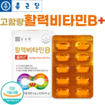 종근당 활력 비타민B 플러스 60정 고함량 고농축 수용성 비타민비 컴플렉스 B1 B2 B6 B12 온가족 패밀리 영양제, 60정 x 1 (2개월), 1개