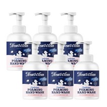 니트앤클린 퍼퓸 히알루론 포밍 핸드워시 500ml, 6개