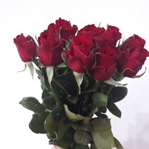 장미 - 푸에고 / 고속터미널꽃시장 꽃도매 서리풀플라워