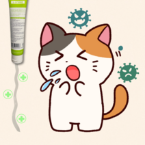 고양이감기 고양이 허피스 엘라이신 락토페린, 단품