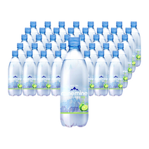 미네마인 스파클링 라임 500ml 40펫