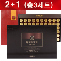 1+1 고함량 (정품) 침향환 침향단 침향원 60환+60환 (총120환)+쇼핑백, 2+1 60환x 3박스(총180환)