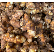 국산 22년산 유기농 인증 생 울금, 생울금 중품 1kg, 1개