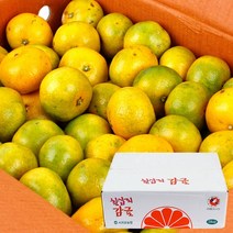 농협 [농협공판장] 제주 칠십리 노지감귤 5kg(L-2L/37-46과내), 1