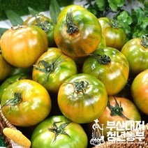 부산대저토마토 2.5kg+2.5kg(L사이즈), 단일옵션